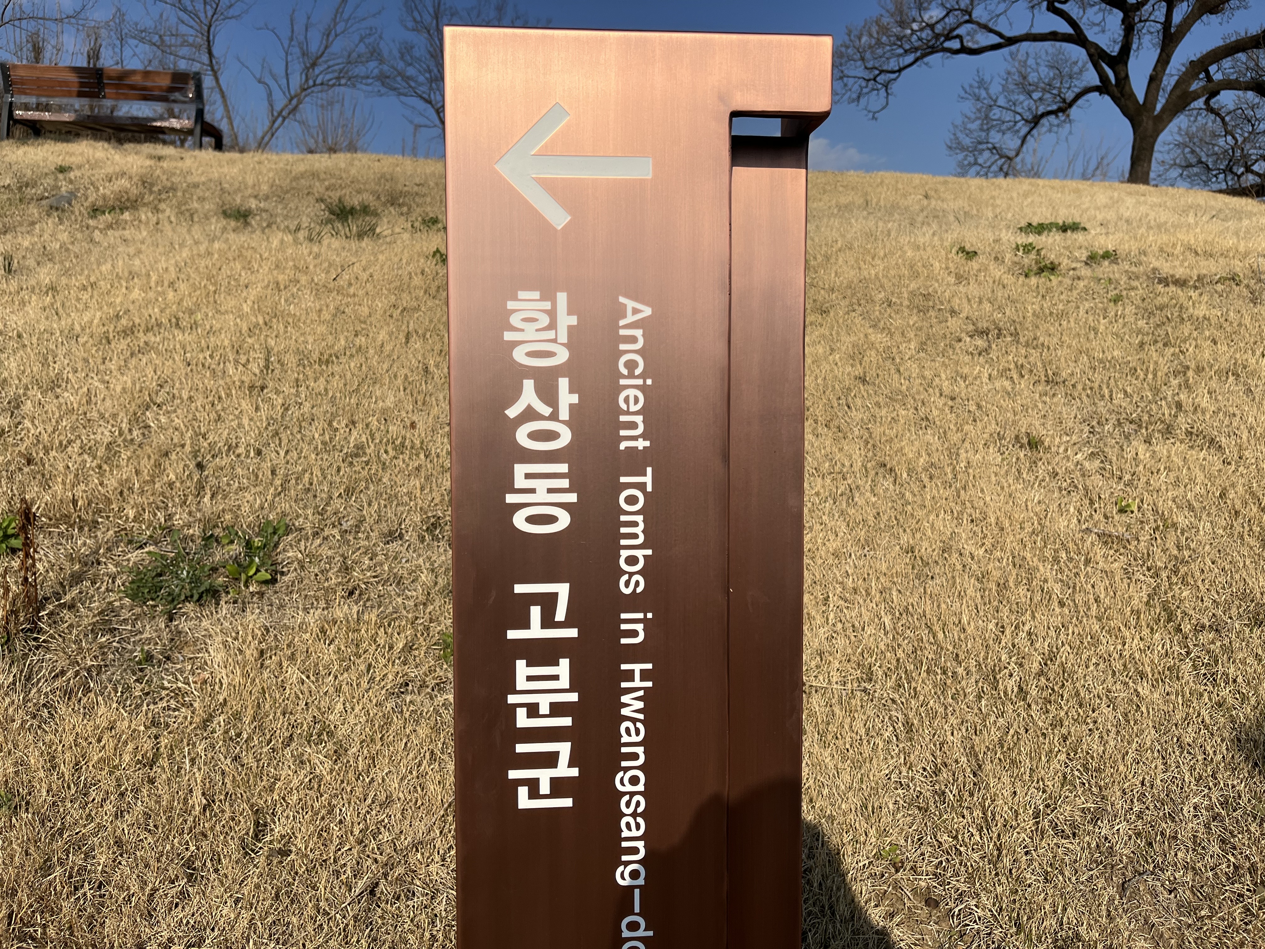 구미 황상동고분군